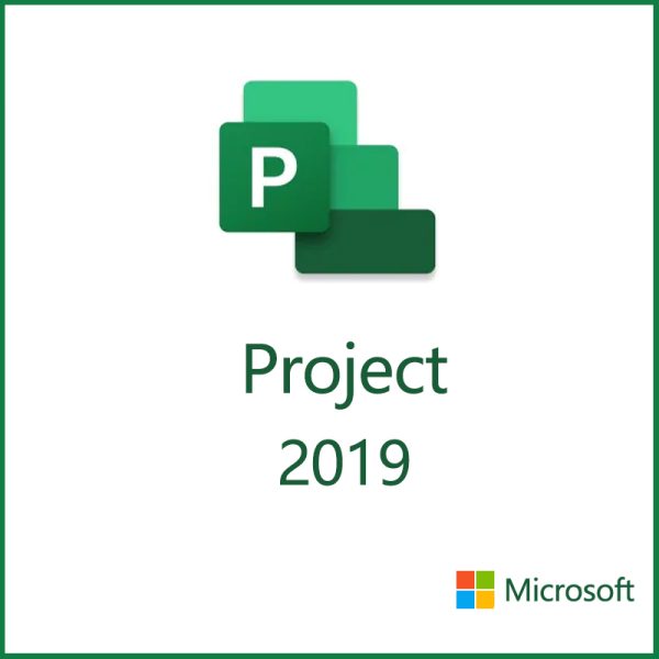 Project 2019 Professional日本語版 [1台Windows用] [ダウンロード版] プロダクトキー